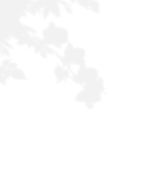 Captura de Pantalla 2023-10-12 a la(s) 16.04.02