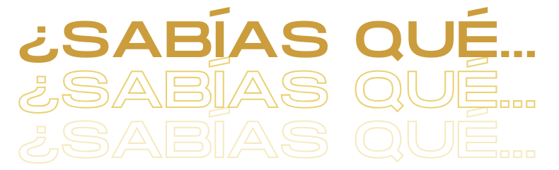 Captura de Pantalla 2024-11-10 a la(s) 9.52.04